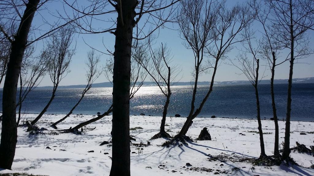 B&B Vigna Rosa Тревиняно Романо Екстериор снимка