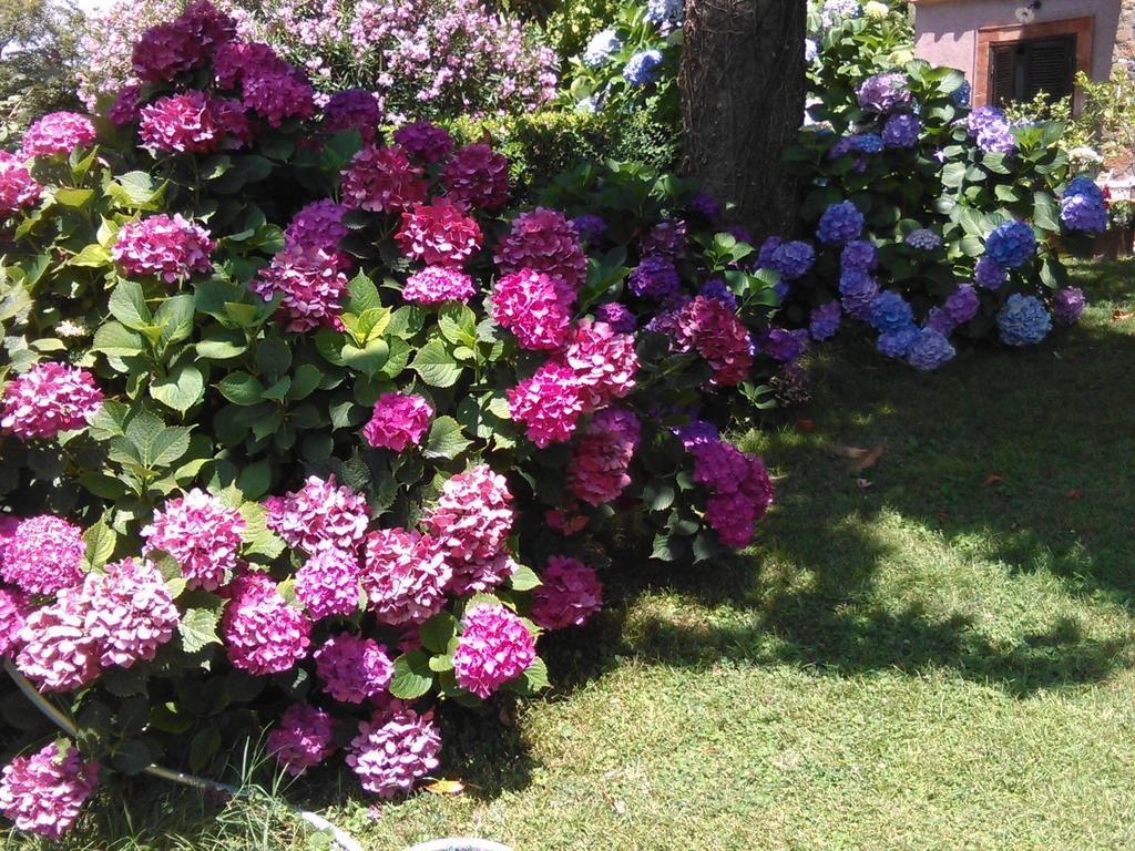 B&B Vigna Rosa Тревиняно Романо Екстериор снимка